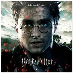 CALENDARIO 2019 HARRY POTTER 30X30 CM                                      