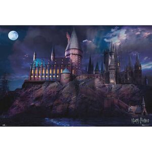 POSTER HARRY POTTERS HOGWARTS 61 X 91 CM                                   