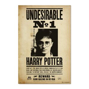 POSTER HARRY POTTER UNDESIRABLE N1 61 X 91 CM