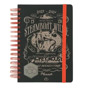AGENDA ESCOLAR 2023/2024 DIA PAGINA A5 12 MESES DISNEY 100 ANIVERSARIO