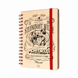 AGENDA ESCOLAR 2023/2024 SEMANA VISTA A5 12 MESES DISNEY 100 ANIVERSARIO