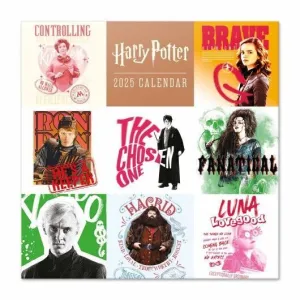 HARRY POTTER CALENDARIO 2025 30X30 CM