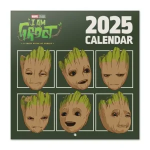 MARVEL YO SOY GROOT MARVEL YO SOY GROOT CM