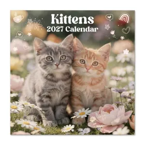 CALENDARIO 2027 30X30 GATITOS