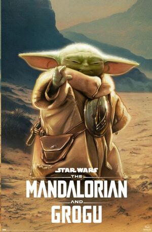 POSTERS STAR WARS THE MANDALORIAN AND GROGU