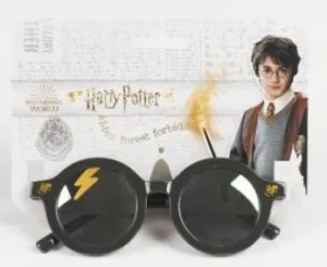 HARRY POTTER GAFAS SOL PREMIUM