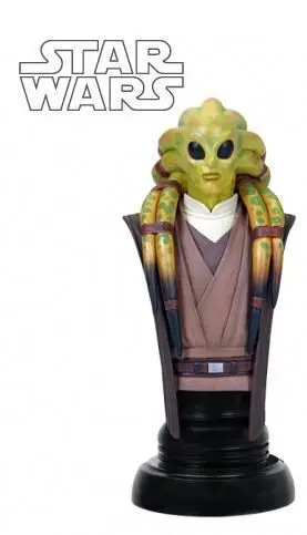 STAR WARS CLASSICS BUSTO KIT FISTO                                         