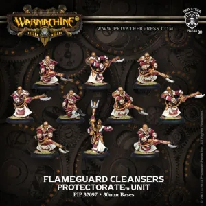 SALDO - WARMACHINE: PROTECTORATE FLAMEGUARD CLEANSERS BOX                          