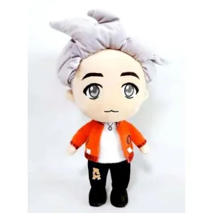 BTS PELUCHE TINYTAN RM