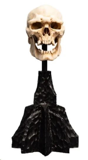 EL SEÑOR DE LOS ANILLOS ESTATUA CRÁNEO DE UN ORCO MORDOR 14 CM
