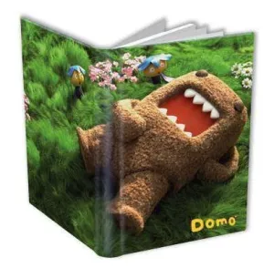 DOMO LIBRETA FOTO 14X22CM