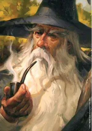FUNDAS CARTAS FFG - GANDALF (50)                                           