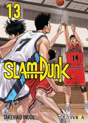 SLAM DUNK NEW EDITION #13