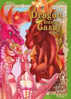 DRAGÓN BUSCA CASA #09