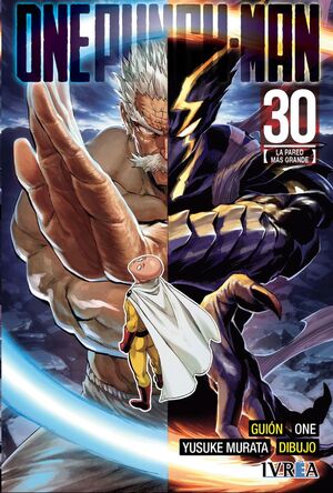 ONE PUNCH-MAN #30