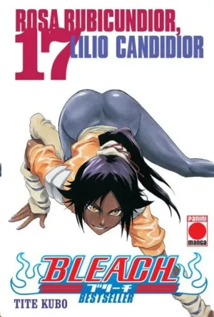 BLEACH: BESTSELLER #17