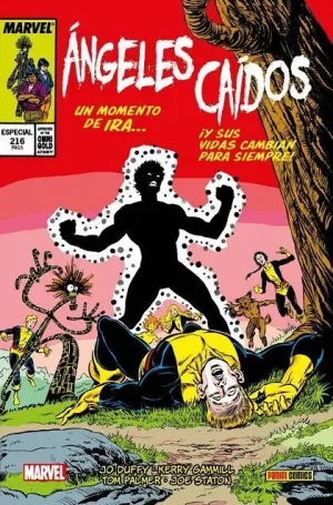ÁNGELES CAIDOS