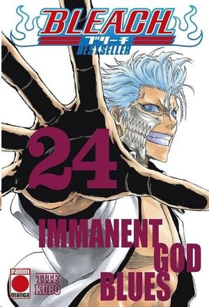 BLEACH: BESTSELLER #24