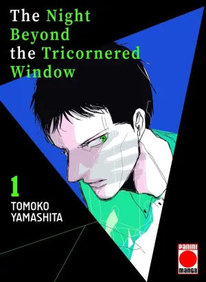THE NIGHT BEYOND THE TRICORNERED WINDOW #01