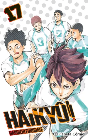 HAIKYÛ!! #17