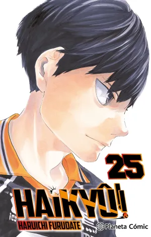 HAIKYÛ!! #25
