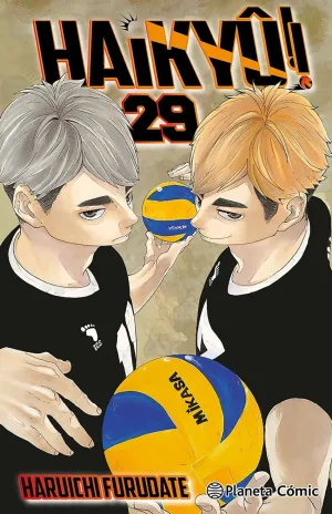 HAIKYÛ!! #29