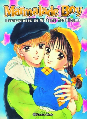 MARMALADE BOY. ILUSTRACIONES