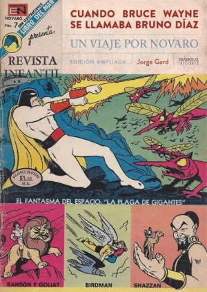 CUANDO BRUCE WAYNE SE LLAMABA BRUNO DIAZ. UN VIAJE POR NOVARO