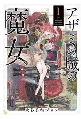 LA BRUIXA DEL CASTELL DELS CARDS (CATALÁN)