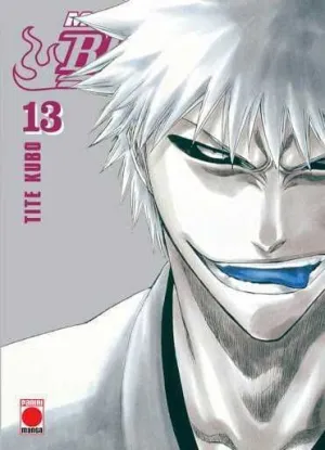 BLEACH MAXIMUM #13 (PANINI)