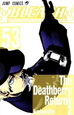 BLEACH #053