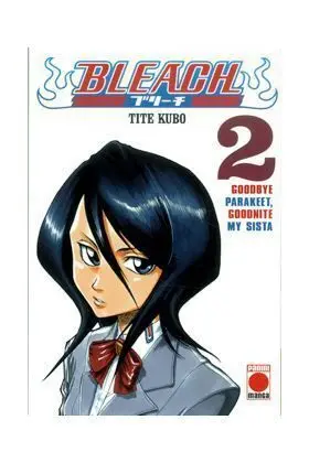 BLEACH #002 (PANINI)