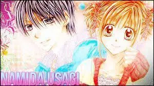 NAMIDA USAGI #05