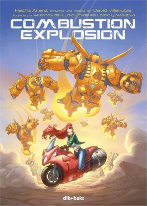 COMBUSTION EXPLOSION