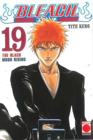 BLEACH #019 (PANINI)