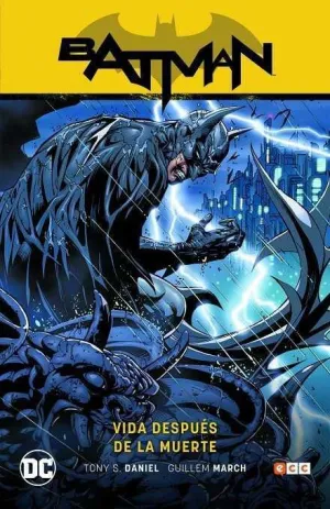 BATMAN SAGA VOL. 10. VIDA DESPUES DE LA MUERTE - RENACIDO 4 (DE TOM KING)