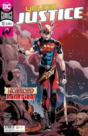YOUNG JUSTICE #13