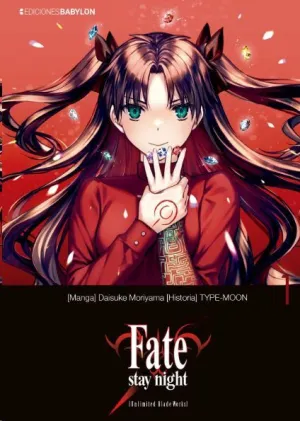 FATE STAY NIGHT: UNLIMITED BLADE WORKS VOL 1 FATE STAY NIGHT: UNLIMITED BLADE WORKS VOL 1