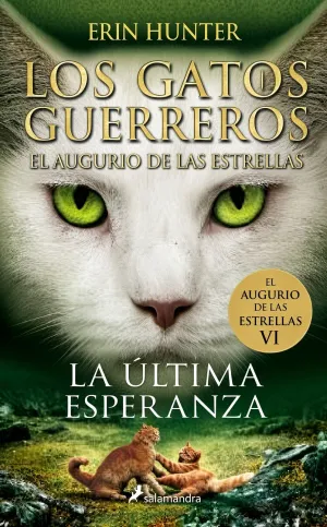LOS GATOS GUERREROS. EL AUGURIO DE LAS ESTRELLAS 6 - LA ÚLTIMA ESPERANZA