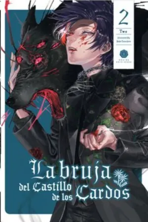 LA BRUJA DEL CASTILLO DE LOS CARDOS #02