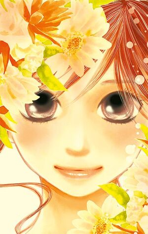 CHIHAYAFURU #01