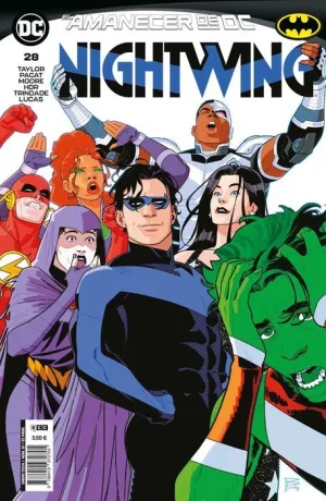 NIGHTWING #28