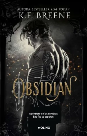 LOS FAE DE LAS SOMBRAS V1. OBSIDIAN