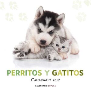 CALENDARIO 2017 PERRITOS Y GATITOS                                         