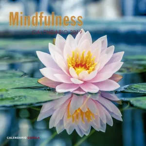 CALENDARIO 2019 MINDFULNESS                                                