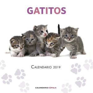 CALENDARIO 2019 GATITOS                                                    