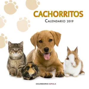 CALENDARIO 2019 CACHORRITOS                                                
