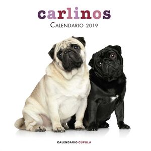 CALENDARIO 2019 CARLINOS                                                   