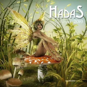 CALENDARIO 2019 HADAS                                                      