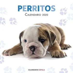 CALENDARIO 2020 PERRITOS                                                   